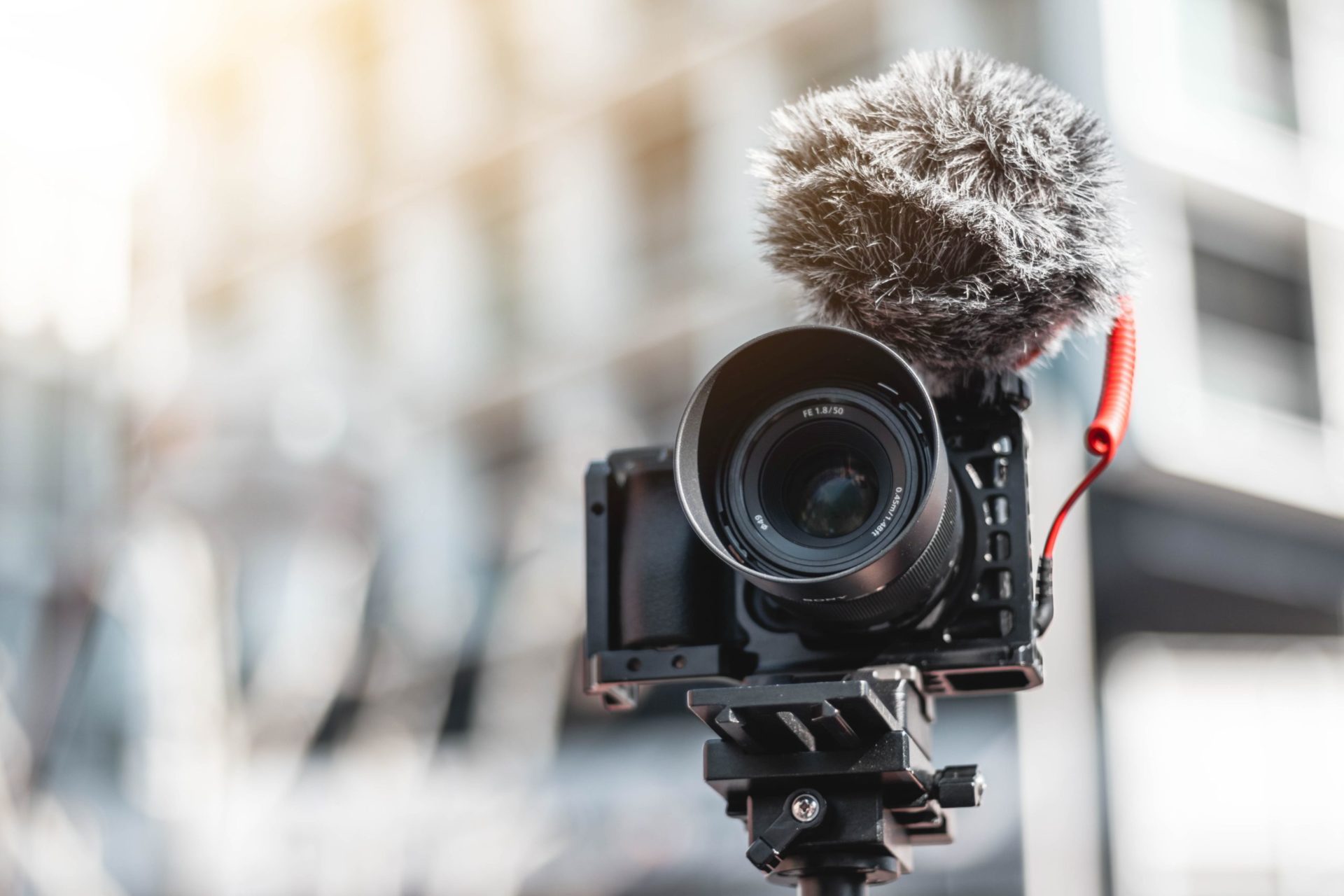Multimedia
